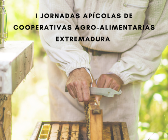 Sostenibilidad y biodiversidad, a debate en las I Jornadas Apícolas de Cooperativas Agro-alimentarias Extremadura 