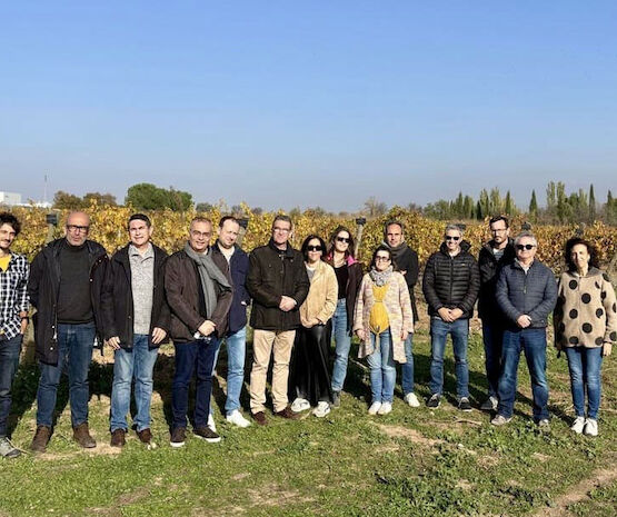 Avances en la investigación sobre cubiertas vegetales para una viticultura sostenible en zonas semiáridas de España