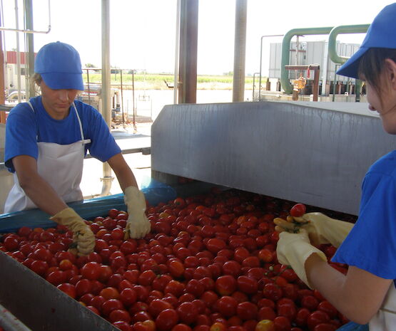 El 12% de la base social de las cooperativas asociadas a Cooperativas Extremadura son jóvenes