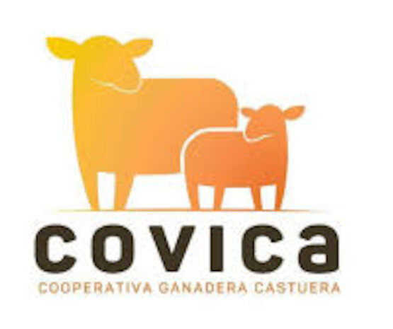 COVICA da un paso firme hacia la igualdad con su nuevo Código de Buenas Prácticas