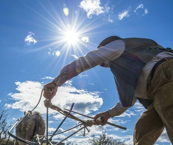 La fotografía “De sol a sol” gana el concurso de fotografía convocado por Cooperativas Agro-alimentarias Extremadura