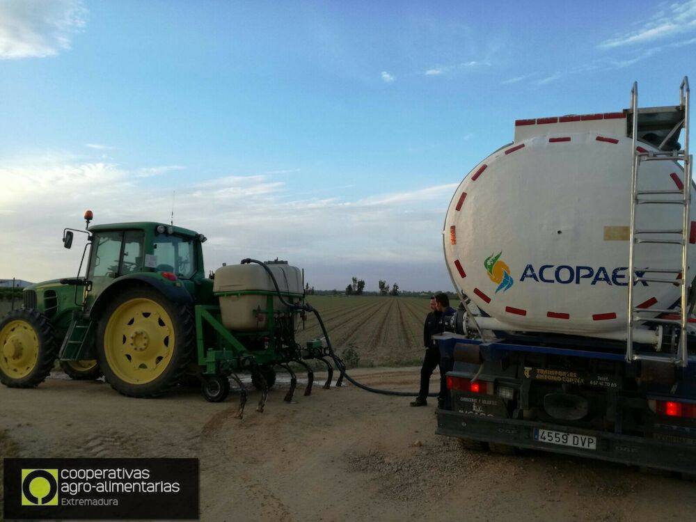 Plantas biocidas, sostenibilidad del suelo y nuevas herramientas para cultivos centran las Jornadas Técnicas de ACOPAEX