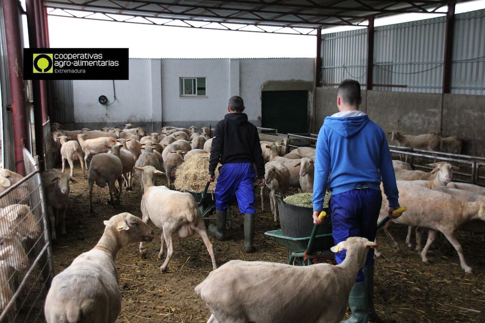 Abierto el plazo de inscripción en la V Escuela de Pastores de Cooprado