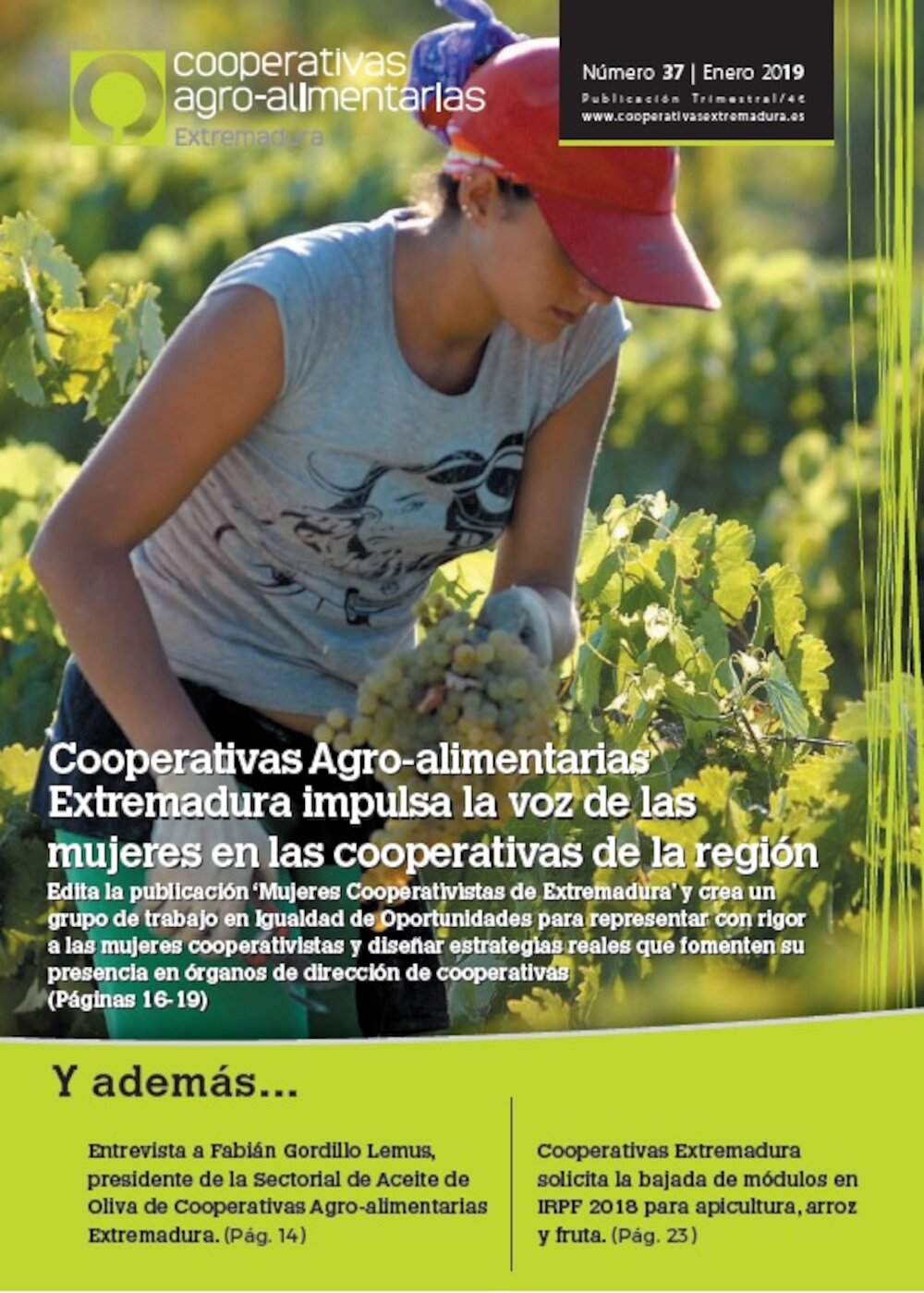 Disponible el último número de la revista Cooperativas Agro-alimentarias Extremadura