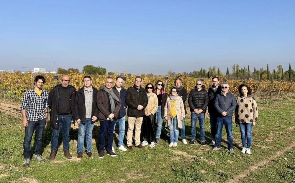 Avances en la investigación sobre cubiertas vegetales para una viticultura sostenible en zonas semiáridas de España