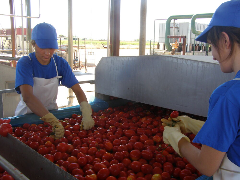 El 12% de la base social de las cooperativas asociadas a Cooperativas Extremadura son jóvenes