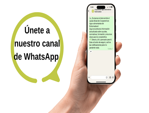 Canal Whatsapp