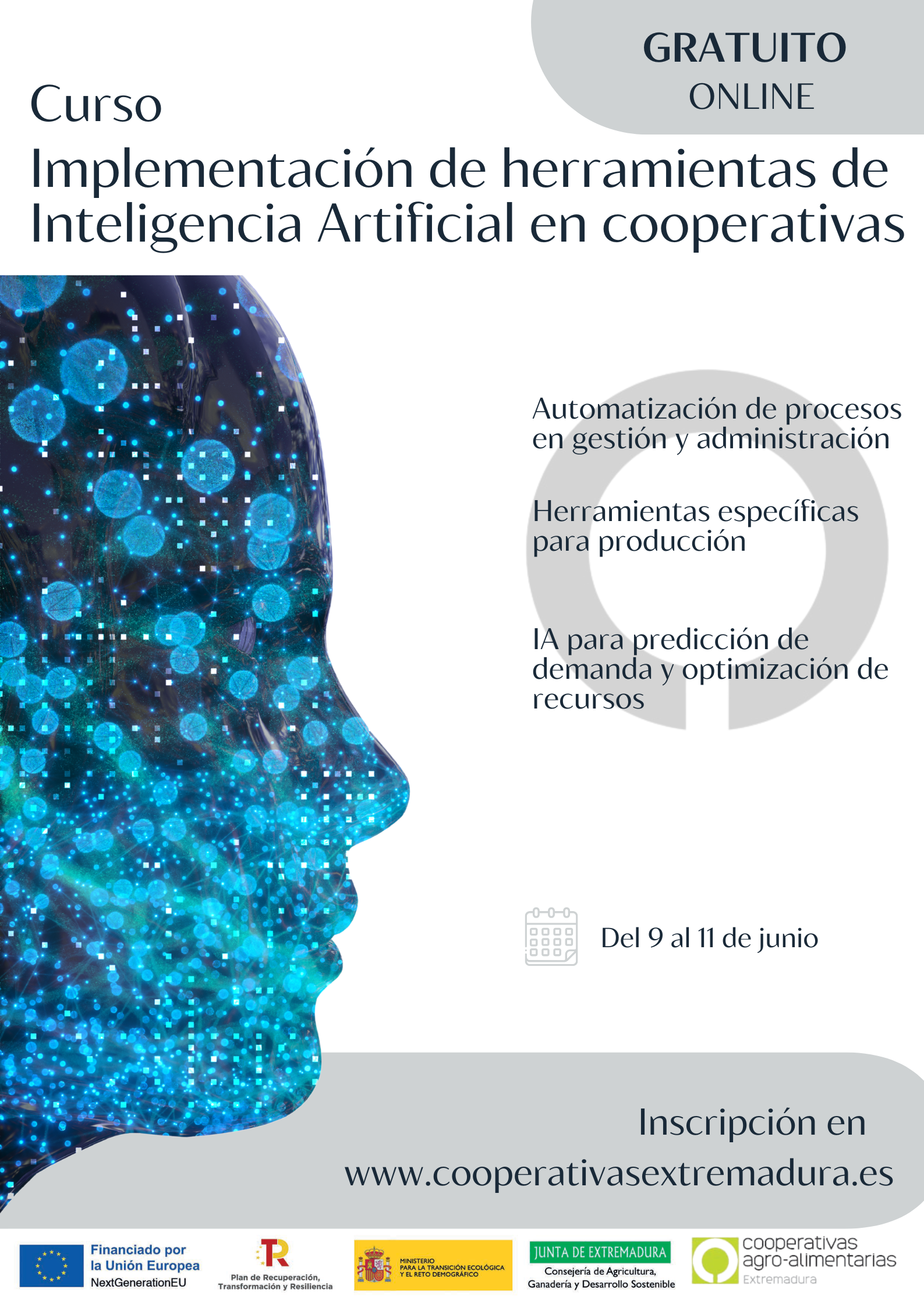 Curso online: Implementación de herramientas de Inteligencia Artificial en cooperativas agroalimentarias Curso online: Implementación de herramientas de Inteligencia Artificial en cooperativas agroalimentarias
